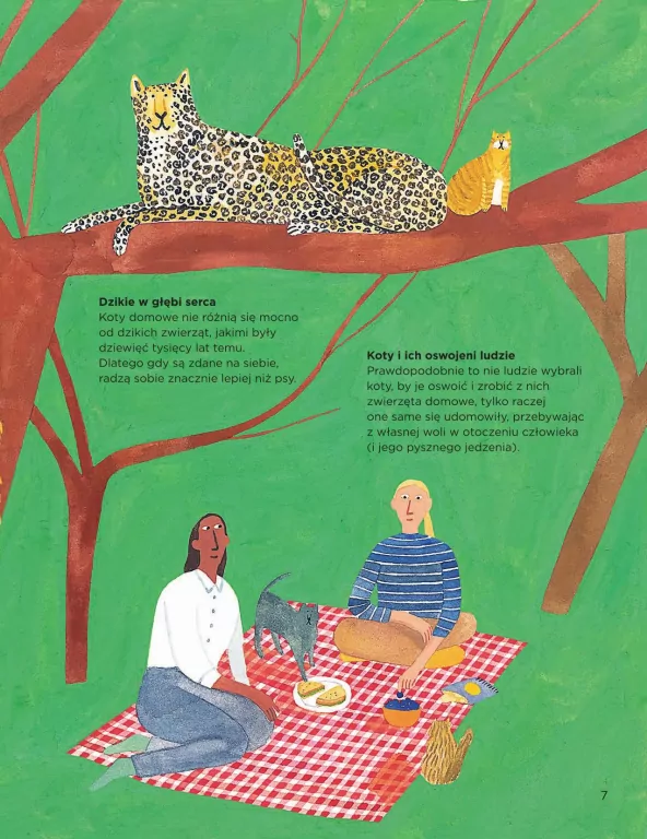 Dlaczego koty miauczą? - tantis.pl