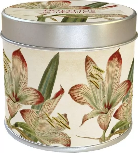 Zapachowa świeczka 202 - amarylis - zapach jabłko - tantis.pl