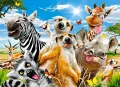 Puzzle 200. African Selfie - tantis.pl