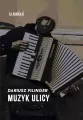 Muzyk ulicy - tantis.pl