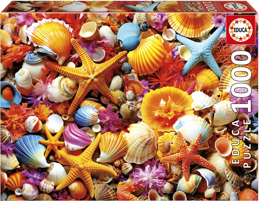 Puzzle 1000 Kolorowe muszelki - tantis.pl