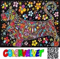 Kolorowanka welurowa Basset 47x35cm - tantis.pl