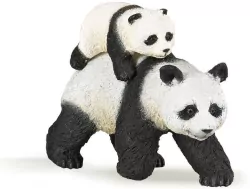 PAPO. Panda z młodym