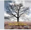 Jak to się skończy. Saga, część VI Audiobook - tantis.pl