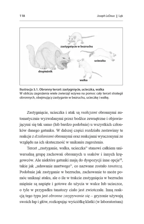 Lęk. Neuronauka na tropie źródeł lęku i strachu - tantis.pl