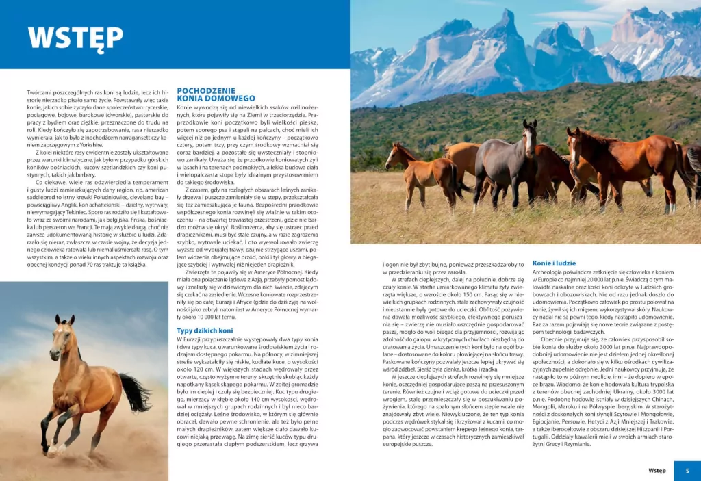 Konie rasowe - tantis.pl