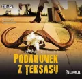 Podarunek z Teksasu. Audiobook - tantis.pl