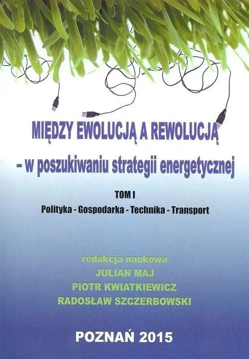 Między ewolucją a rewolucją - w poszukiwaniu strategii energetycznej. Tom 1 - tantis.pl