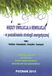 Między ewolucją a rewolucją - w poszukiwaniu strategii energetycznej. Tom 1