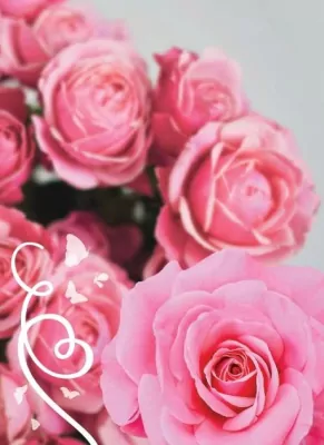 Karnet B6. Uniwersalny