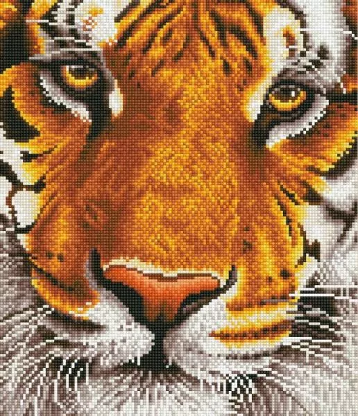 Diamond Dotz - Adults Bengal Magic - tantis.pl