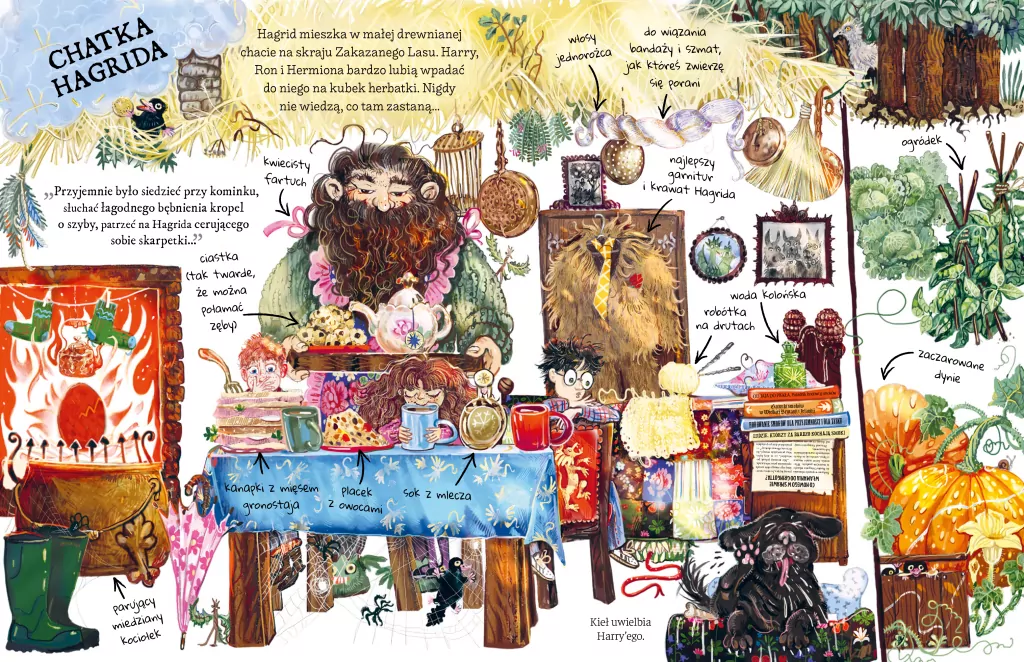 Mały potterownik. Hagrid. Przewodnik po serii Harry Potter. Harry Potter - tantis.pl