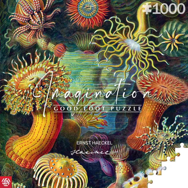 Puzzle 1000. Ernst Haeckel: Stworzenia morskie - tantis.pl