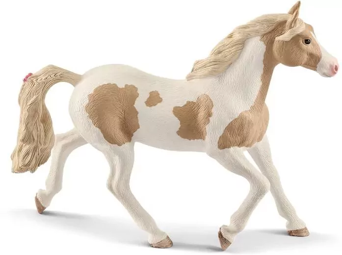 Klacz paint horse 13884 - tantis.pl