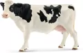 Krowa rasy Holstein. Farm World - tantis.pl