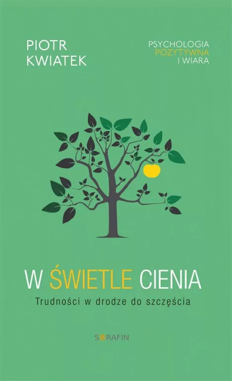 W świetle cienia. Trudności w drodze do szczęścia - tantis.pl