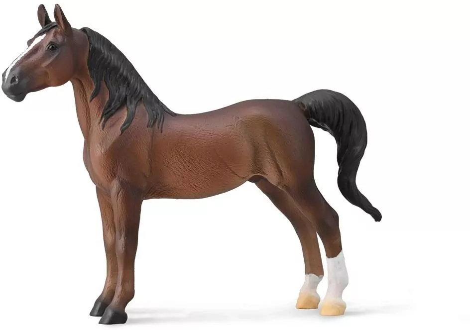 American Saddlebred Stallion Liver kasztanowy - tantis.pl