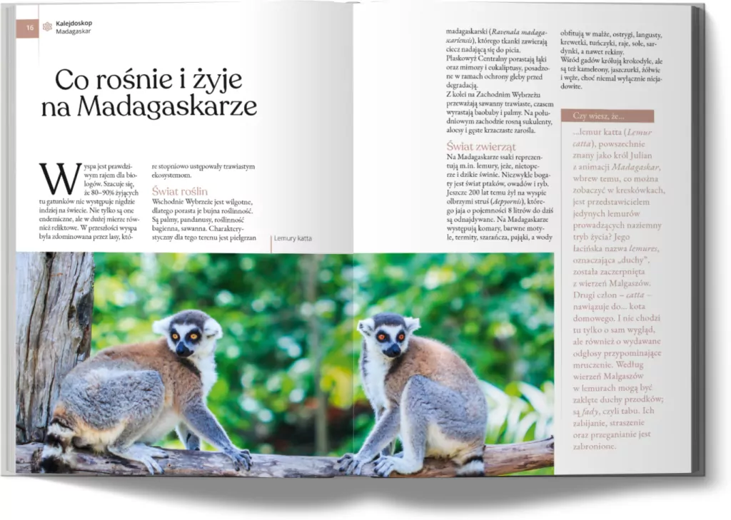 Madagaskar i Nose Be - tantis.pl