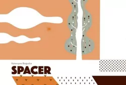 Spacer (okładka autorska)