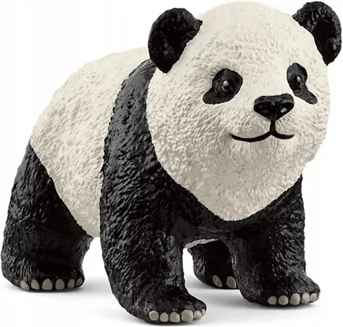 Młoda Panda Wielka - tantis.pl