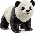 Młoda Panda Wielka - tantis.pl