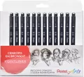 Pentel. Cienkopisy kalibrowane S20P w etui, 12 sztuk - tantis.pl