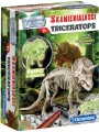 Triceratops. Skamieniałości. Naukowa zabawa - tantis.pl
