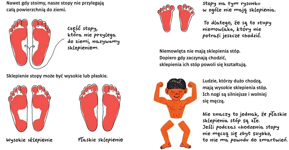 Stopy - tantis.pl