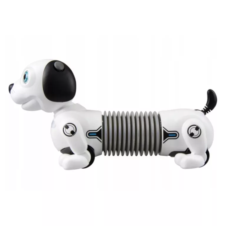 Robot Dackel Junior - tantis.pl