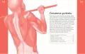 Anatomia ruchu - tantis.pl