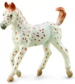 Koń Knabstrupper Foal - tantis.pl