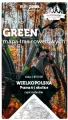 Wielkopolska. Poznań i okolice, część zachodnia. Nie tylko Green Velo - tantis.pl