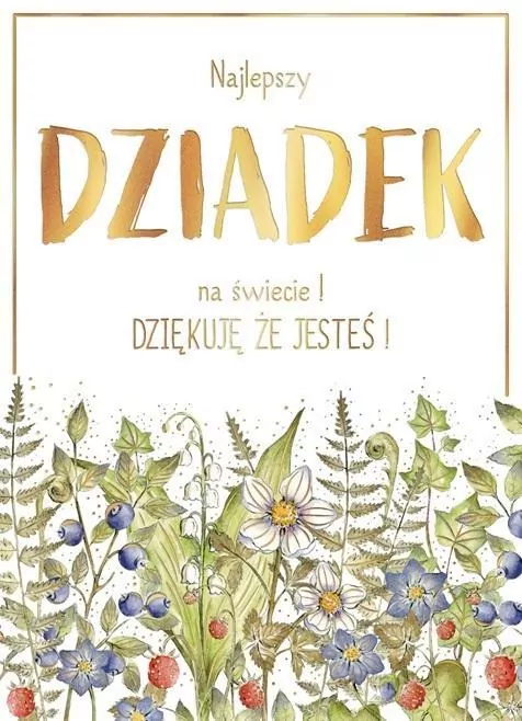 Karnet B6 Las Dziadek - tantis.pl
