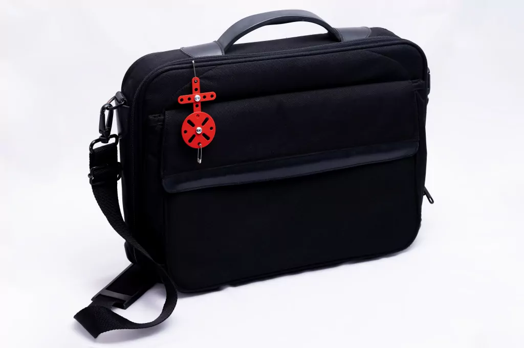 Brelok DIY biedronka. X-press Me - tantis.pl