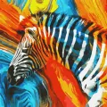 Malowanie po numerach - Kolorowa zebra 50x50cm - tantis.pl