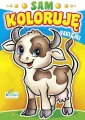 Sam koloruję. Malowanki z naklejkami. Mix - tantis.pl