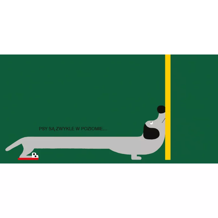 Pion i poziom - tantis.pl