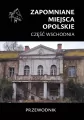 Zapomniane miejsca. Opolskie cz.wschodnia - tantis.pl