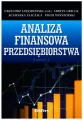 Analiza finansowa przedsiębiorstwa - tantis.pl