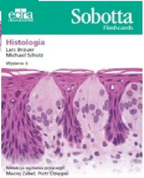 Histologia. Sobotta Flashcards - tantis.pl