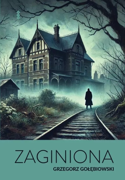 Zaginiona. E-book - tantis.pl