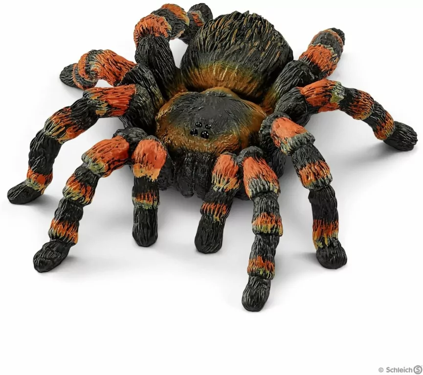 Tarantula. Wild Life - tantis.pl