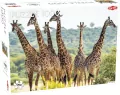 Puzzle Żyrafy 1000 - tantis.pl
