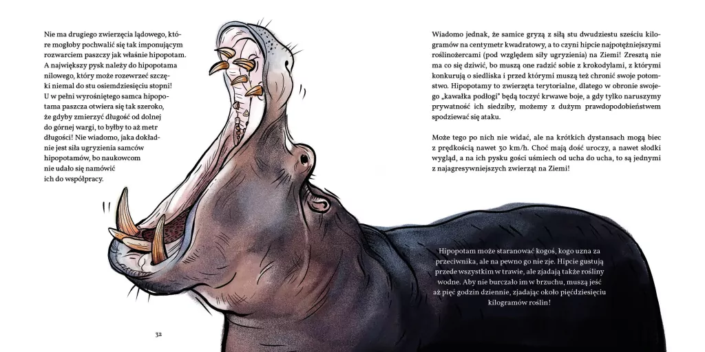 Zęby, ciosy i siekacze - tantis.pl