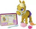 Pamper Petz. Kucyk - tantis.pl