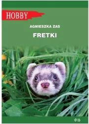 Fretki