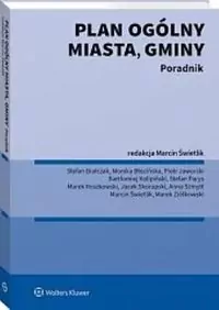 Plan ogólny miasta, gminy. Poradnik - tantis.pl