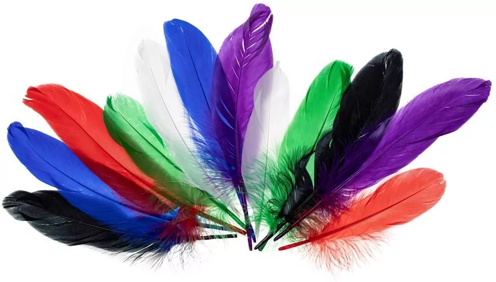 Piórka gęsie jaskrawe 15-20cm - tantis.pl