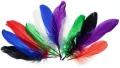 Piórka gęsie jaskrawe 15-20cm - tantis.pl