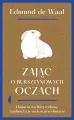 Zając o bursztynowych oczach - tantis.pl